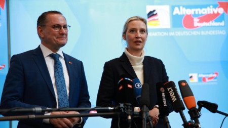 Лидерите на AfD Тино Крупала и Алис Вайдел 