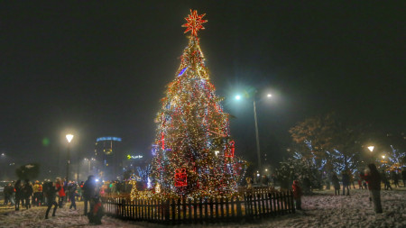 Коледната елха в София, 1 декември 2020 г.