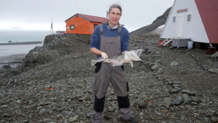 Д-р Тихомир Стефанов с уловената ледена риба Chaenocephalus aceratus пред Българската антарктическа база
