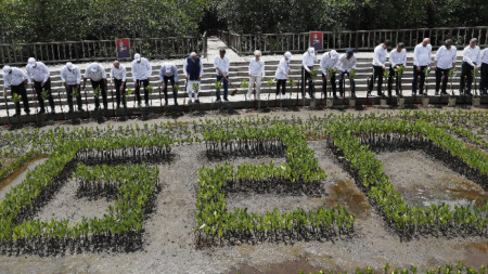Лидерите на Г-20 засадиха мангрови растения в Бали, 16 ноември 2022 г.
