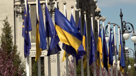 Стратегическо късогледство нарече Киев сдържаната позиция на Австрия за членство