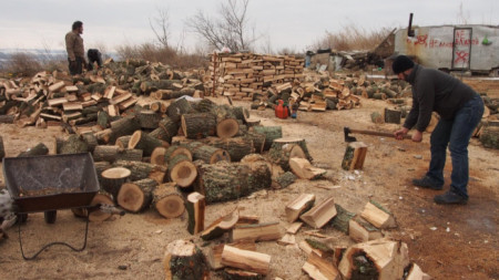 Дърводобивни фирми от Благоевградска област излизат на протест утре в