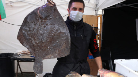 Калканът остава един от най-големите морски деликатеси - на рибния пазар в София - 6 декември 2020 г.