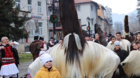 Традиционният кукерски карнавал Старчевата разтресе със зурни и звън на