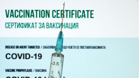 В пловдивски имунизационен център са засечени няколко случая на притежатели
