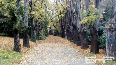 Есен в Морската градина на Варна