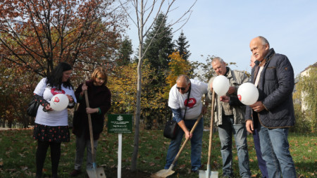 Представители на пациентски организации и на здравното министерство засадиха дърво в парка на НДК в знак на благодарност към близките, взели решение да дарят органите на починал човек.