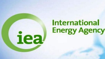 Международна енергийна агенция (МАЕ или IEA)