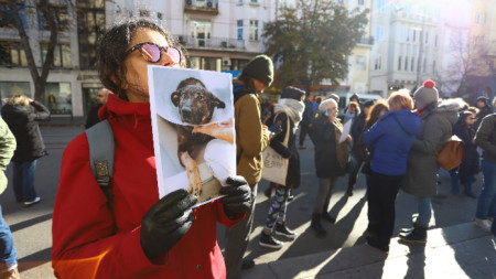Протест в защита на кучето Мечо в София, 25 ноември 2022 г.