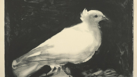 Пикасо, Гълъб на мира, 1949