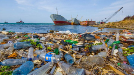 Замърсяването на моретата с пластмаса се превръща в истинско бедствие