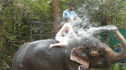 Слонско СПА в Гоа, Индия