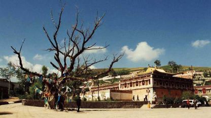 Свещеното дърво в тибетския манастир Кумбум.