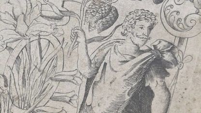 Портрет на Уилям Шекспир в книга за растенията от 16 век