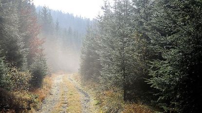 Шумава е планински район с гори в Югозападна Чехия, но надморската височина не надвишава 1400 м.