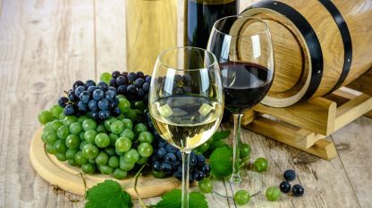 Подготвя се среща между винопроизводителите и лозарите с цел постигане