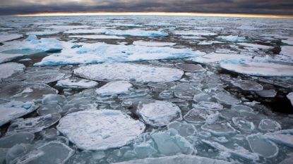 Учени съобщиха, че изтъняването на морския лед вече достига най-студените части на Арктика.