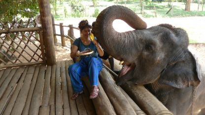 Магдалена Гигова в сиропиталището за слонове в Пиннавала, Шри Ланка.