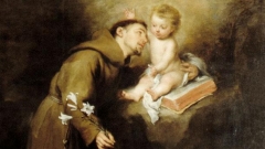 Свети Антоний най-често е изобразяван с книга, младенеца Исус или лилия.