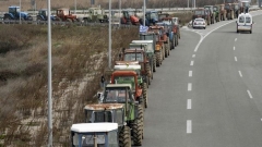 Фирмите, които търпят загуби от стачката на гръцките фермери, трябва да докажат документално щетите си, препоръчват от Кризисния щаб