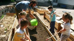 Das Projekt startete im Mai und das Erste, was die Kinder gelernt haben, war das Einlegen des Gartens.