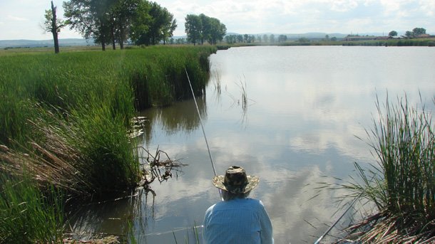 Casa de Pesca HLG – Bienvenidos al Maravilloso Mundo de la Pesca