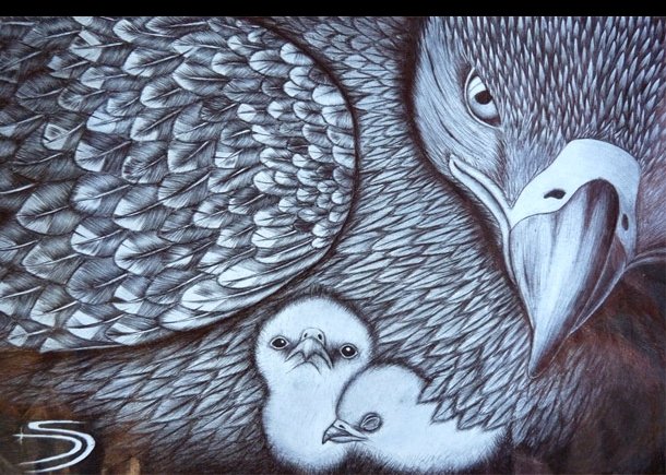 Las águilas son bellas”, una exposición de dibujos infantiles - SOCIEDAD