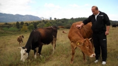 земеделски стопанства фермери крави