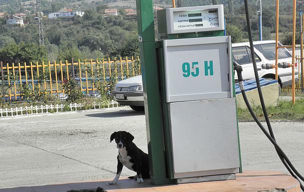 Дизелът и бензинът А 95 в България са с около