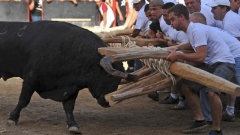 бикоборство борба с бикове