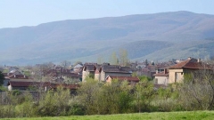 Село Паталеница