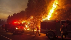 Пожар в Калифорния 