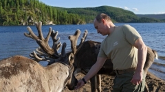 Президентът Путин храни елен по време на ваканцията си