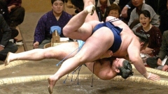Калоян Махлянов-Котоошу записа 8-ма победа на турнира по сумо в Нагоя