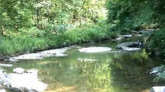 Река Костелска извира от дивата и девствена местност Валето на територията на резерват Бяла Крава, в северното подножие на връх Голяма Турла, извисяващ се в живописния Еленски балкан.