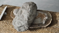 Каменна мелница за зърно (хромел), халколит, V хил. пр. Хр, Старозагорско (възстановка в музейна среда с оригинални находки).