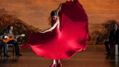 „Фламенко, фламенко” е сред акцентите на Кимонания 2010. Испанският режисьор Карлос Саура и италианският оператор Виторио Стораро са заснели филма в сърцето на Андалусия – Севиля.