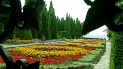 В Университетската ботаническа градина в Балчик и лятната резиденция на румънската кралица Мария броят на растителните видове надхвърля 2500.