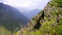 Национален парк „Централен Балкан” е една от най-непокътнатите и най-строго защитените от закона територии в България.