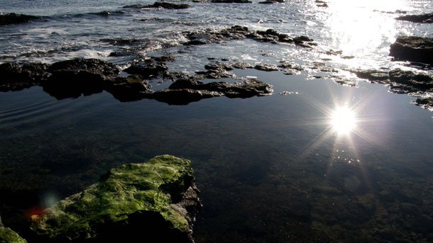 Сероводород в черном море фото