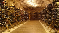 “Muzeu i verës” në Pleven disponon me koleksionin më të pasur të verërave të vjetra në Bullgari – afro 7000 shishe me verë të vjetruar nga 30 deri në 100 vjet.