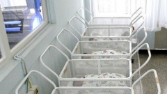 Nëse ruhet tendenca e rënies së natalitetit, gjatë vitit 2050 popullsia e Bullgarisë do të numërojë 5,5 milionë veta.