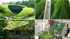 Evropa ka tradita më të mira në ndërtimin e çative dhe fasadave “të gjelbra”. Këto lëndina artificiale janë shumë të rëndësishme për ruajtjen e shumëllojshmërisë biologjike të qyteteve dhe e ndikojnë në mënyrë të mirë klimën e qyteteve të mëdha.