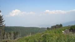 Mbrojtësit e natyrës zhvillojnë aktivitete të ndryshme për pyllëzimin e kodrave të malit Vitosha