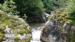 Dy e treta e bullgarëve mendojnë se resurset më të rëndësishme të Bullgarisë janë ujërat, lumenjtë dhe pyjet.