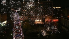 Коледната елха в София е красива и ефектна само по тъмно. През деня празничният дух преди Рождество Христово почти не се усеща по столичните улици