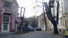 есенно рязане  на клоните на улица 