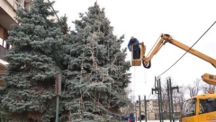      Центърът на Видин бе украсен празнично вчера.