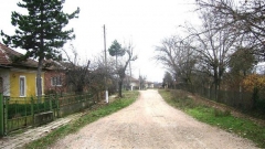   \r\nОбезлюдяването е проблем за повечето селата в община Ружинци, скоро в някои от тях ще останат само къщите.