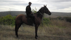 Конна охрана по време на гроздобера в Ново село